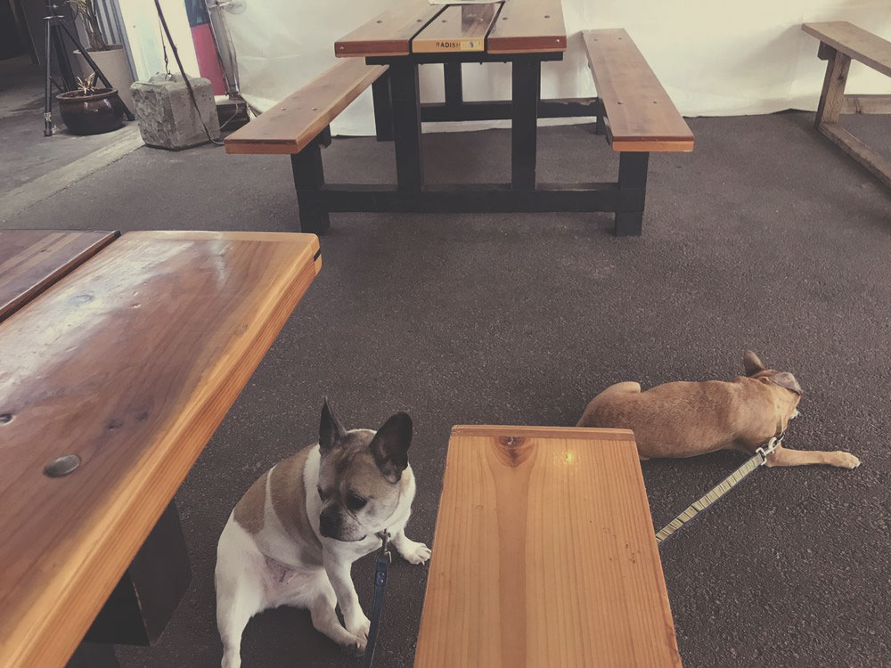 Pet Friendly